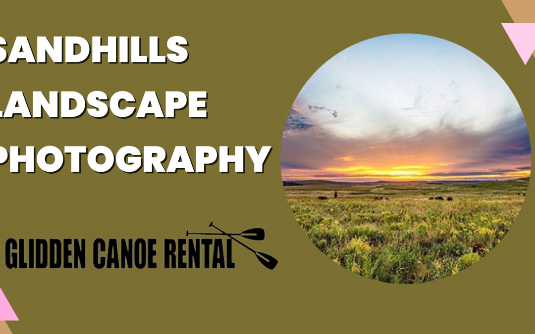 Landscape Photography for Beginners