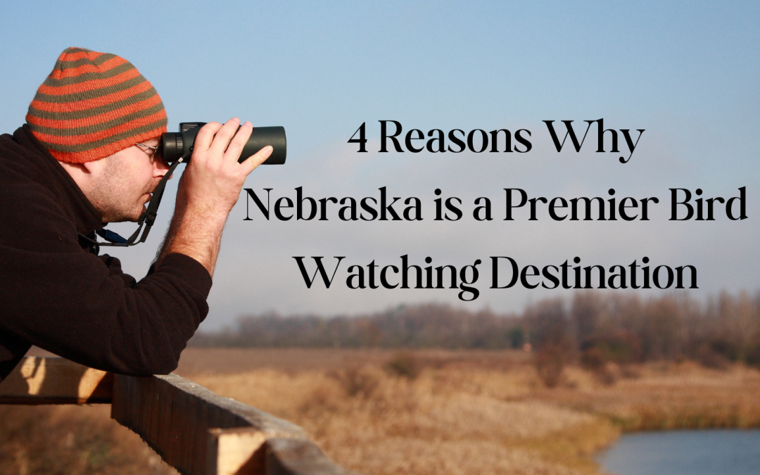 4 Reasons Why Nebraska is a Premier Bird Watching Destination