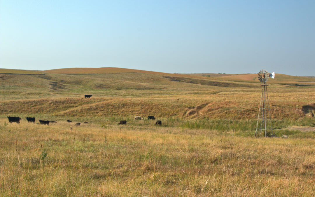The Birth of Ranching in Nebraska’s Sandhills