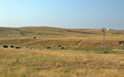 The Birth of Ranching in Nebraska’s Sandhills