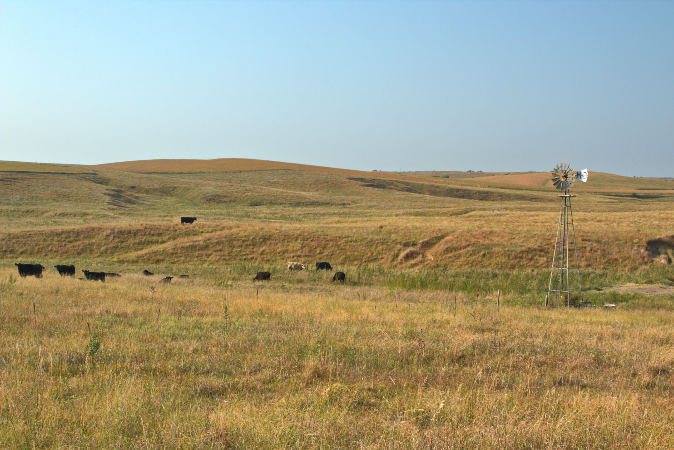 The Birth of Ranching in Nebraska’s Sandhills - Glidden Canoe Rentals