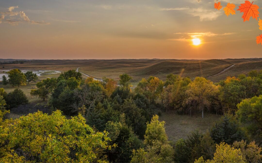 Image of Sandhills in Nebraska